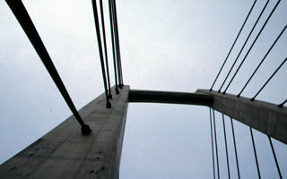 木場公園にある橋、「木場公園大橋」そのまんまの名前ですがヽ(^.^;)丿