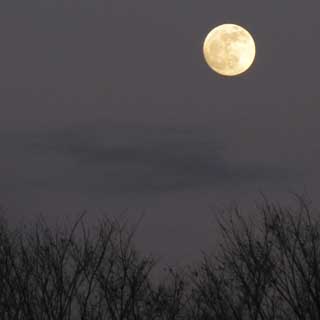 なんか目立ってたんで、思わず撮ってしまったお月様～ヽ(^.^;)丿満月かと思ったけど、満月は明日のようです(^_^;)