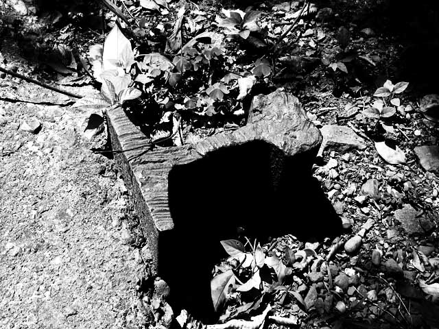 2012年6月26日に撮影した市ノ坪短絡線廃線跡の終わり付近(JR横須賀線の線路とぶつかる辺り)で見つけた埋まった線路…が、数日前に見てきたのですが、今は無くなってるみたいで…(埋められた? ^_^;)