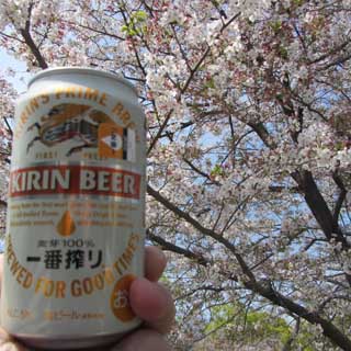 【武蔵小杉の桜(定点観測2017)】2017年4月15日、みんなこれを目指してきた