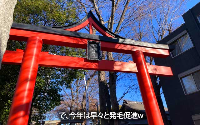 例年は2日に行くのが多いのですが、今年は早々目が覚めたのもあって、発毛してきましたヽ(^.^;)丿