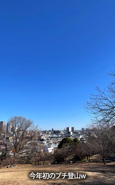 実質、今年初の悪あがきになるのかと…でも10kmに届いてなかったプチ登山ヽ(^.^;)丿ここに年初めに見てる梅があるんやー