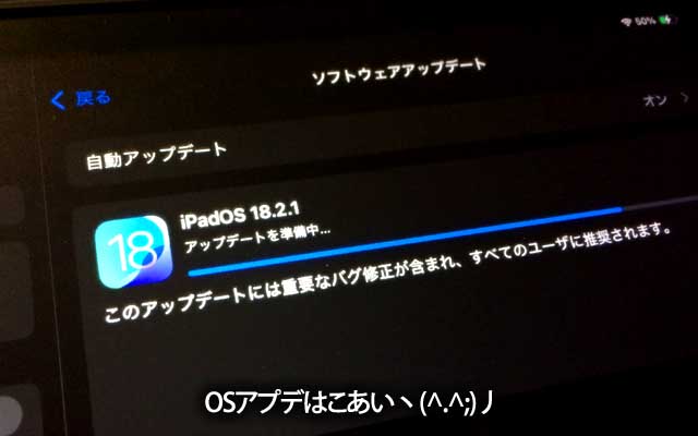 昨夜お絵描きしてたら、なんか重い感じがして…チェックしたらOSのアップデートが…でも自動アップデートは走ってなかった気も…(^_^;)