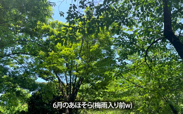 せまるー、初夏ー(どてぽきぐしゃ)