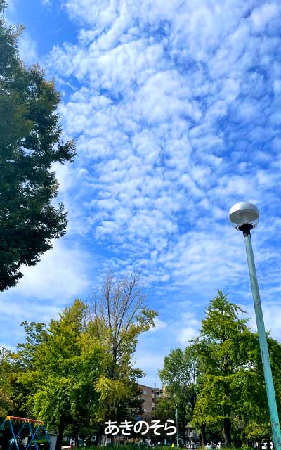 悪あがきでは、背中をじんわりやる程度に発汗、気温はそう高くないはずなのに、何故か室内は暑くて暑くて…ちょっとだけエアコンのお世話にヽ(^.^;)丿外の方が涼しいわっ!!＼(T_T)／