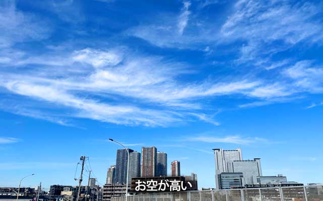 お空高いねぇ…