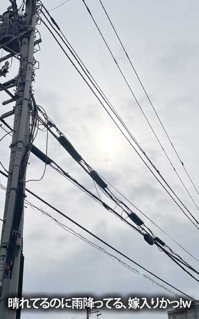陽が射してるから、雨止んでるんか?と、思ったら降ってやがりましたヽ(^.^;)丿