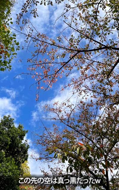 途中、雨雲接近のアラート来たけど、ここでは降られなかった…その後雨になりますたヽ(^.^;)丿