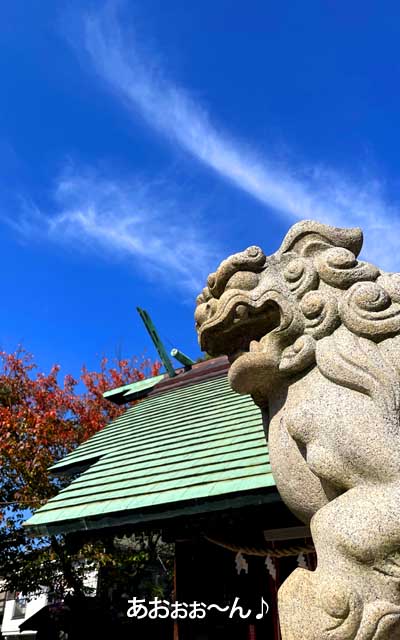 あほ空と、それぞれに当る日光の感じが丁度良かったので…