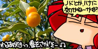 すちゃらか絵日記(絵日記ブログ)[2026年3月5日]