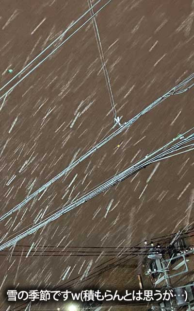 今日は止んじゃってましたが、昨夜は今冬初の降雪…っても、パラついた程度でしたかねぇ…場所にも因ったかもしれませんが、家の辺りでは薄ら積もるようなコトもなく…(^_^;)