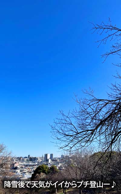 で、昨日の降雪の影響か、今日のお空はスカっと晴れ、これは悪あがきするぞっ!で、プチ登山す…(^_^;)