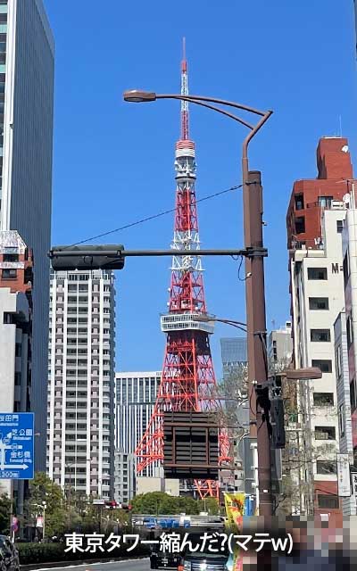 久々の三田、東京タワーが以前より縮んでました…なにをーっ!ヽ(^.^;)丿